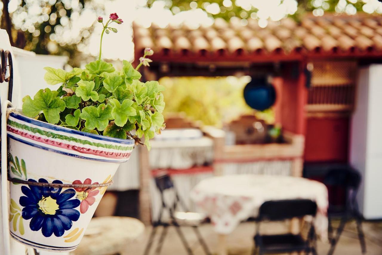 Вилла Vivienda Turistica La Huerta Гуадальканаль Экстерьер фото